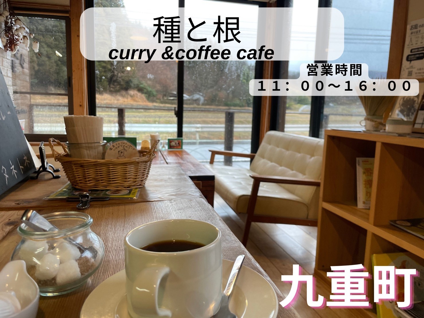 『種と根』☕️